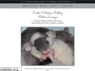 exoticwhiskersrattery.com