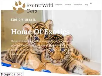 exoticwildcats.com