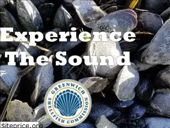experiencethesound.org