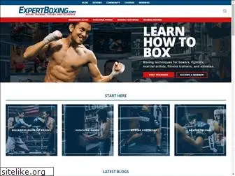 expertboxing.com