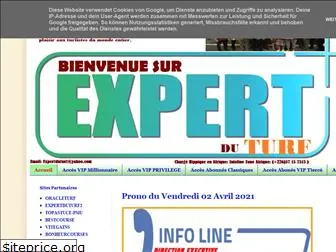 expertduturf1.blogspot.com