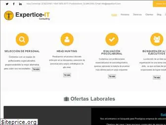 expertice-it.com