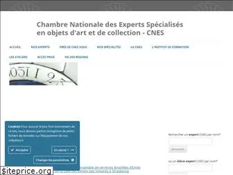 experts-cnes.fr