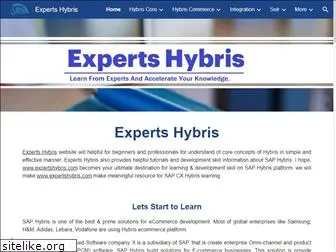 expertshybris.com