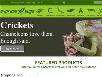 expressbugs.com