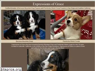 expressionsofgrace.com