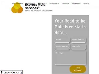 expressmoldservices.com