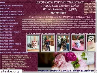 exquisitepupsbychristine.com