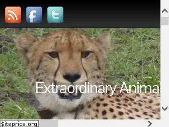 extraordinary-animals.com