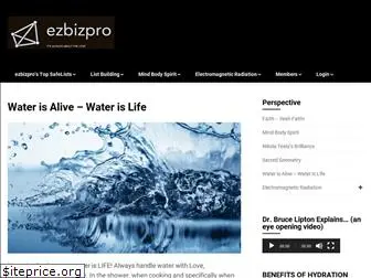 ezbizpro.net