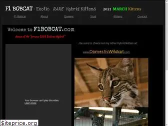 f1bobcat.com