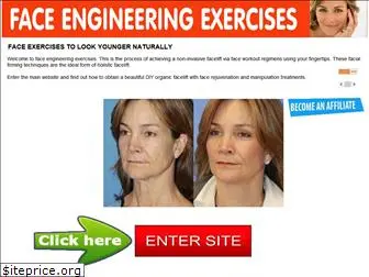 face-engineering-exercises.org