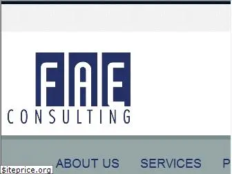 faeconsulting.com