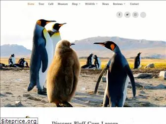 falklandpenguins.com