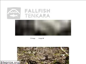 fallfishtenkara.com