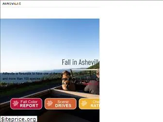 fallinashville.com