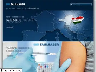 faulhaber.com.cn