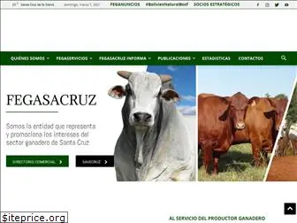 fegasacruz.org