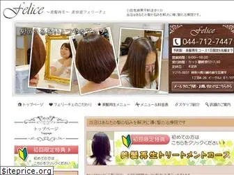 felice-hairsalon.com