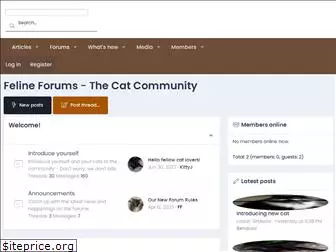 felineforums.com