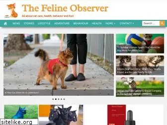 felineobserver.com