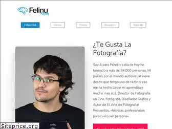 www.felinuacademy.com
