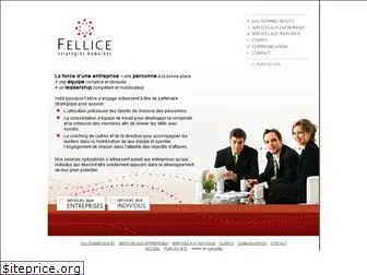 fellice.com