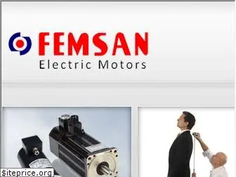 femsan.com