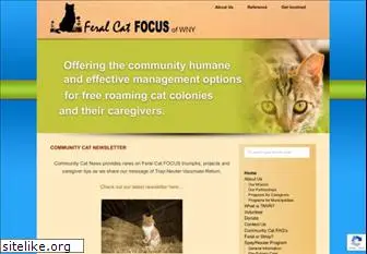 feralcatfocus.org