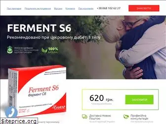 ferment-s6.com