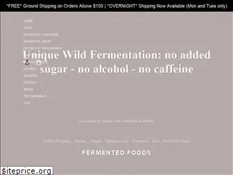 fermentingfairy.com