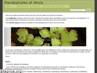 fernsofafrica.com