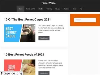 ferretvoice.com