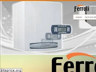 ferroliservisi.com