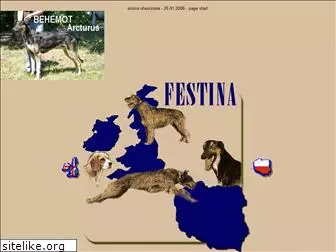 festina.com.pl
