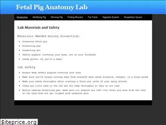 fetalpiganatomylab.weebly.com