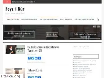 feyzinur.com