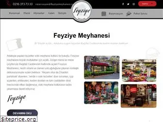 feyziye.com