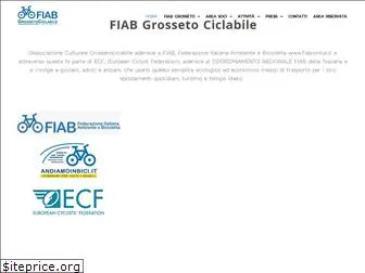 fiabgrosseto.it