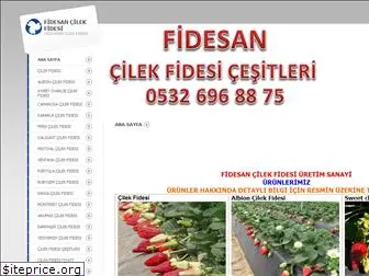 fidesan.net