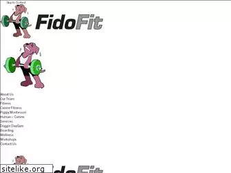 fidofitdbq.com