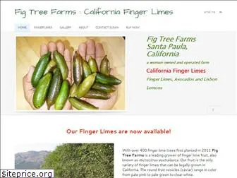 fig-tree-farms.com