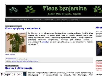 fikusbenjamina.blogspot.com