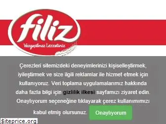 filizmakarna.com