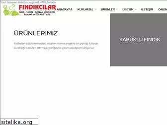 findikcilargida.com