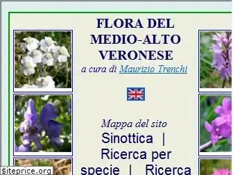 fioridellalessinia.com