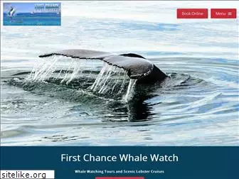 firstchancewhalewatch.com