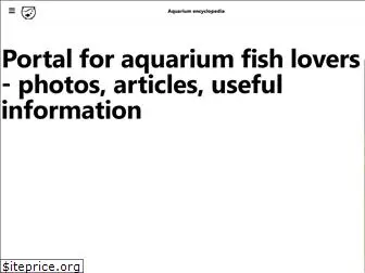 fishcustomaquariums.com