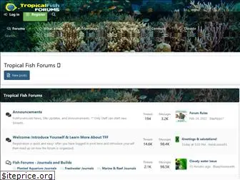 fishforums.net