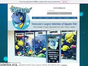 fishfrenzyaquatics.com